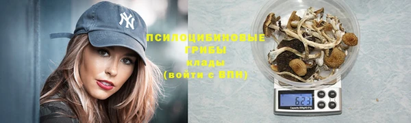 кокс Алексин