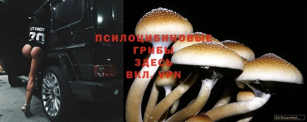 мескалин Абдулино