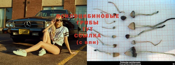 мескалин Абдулино